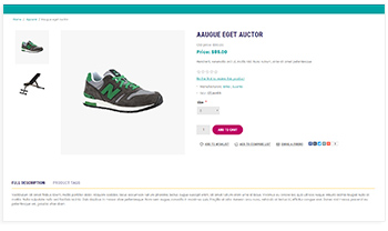 Product Info Tabs And Other Features